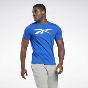 Blue Reebok Graphic Series Vector T-Shirt | YWF-683901