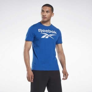 Blue Reebok Identity Big Logo T-Shirt | AGV-570916