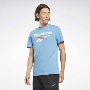 Blue Reebok Identity Big Logo T-Shirt | DOX-816950