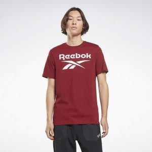 Burgundy Reebok Identity Big Logo T-Shirt | TRK-834569