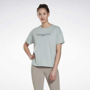 Grey Reebok Brand T-Shirt | XUO-524037