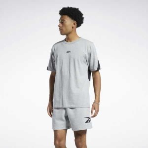 Grey Reebok Classics Brand Proud T-Shirt | KSG-270915