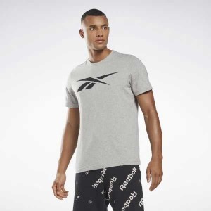 Grey Reebok Graphic Series Vector T-Shirt | KCQ-172806
