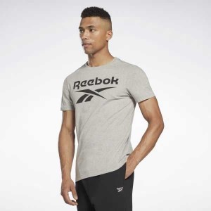 Grey Reebok Identity Big Logo T-Shirt | SDB-615327