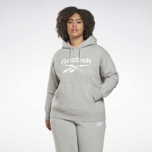 Grey Reebok Identity Logo Fleece Pullover Hoodie | ELJ-235014