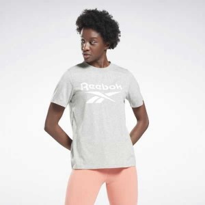 Grey / White Reebok Identity Logo T-Shirt | LYD-580927