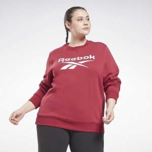 Multicolor Reebok Identity Logo Fleece Crew Sweatshirt | RME-714938