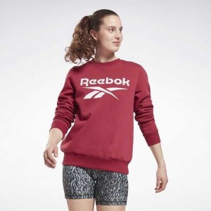 Multicolor Reebok Identity Logo Fleece Crew Sweatshirt | UDP-342875