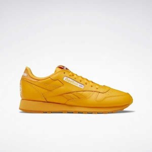 Multicolor Reebok Popsicle Classic Leather Shoes | PQL-456127