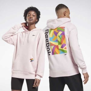 Multicolor Reebok Tech Style Pride Graphic Sweatshirt | PAS-165907