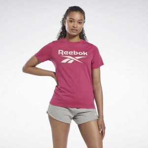 Pink Reebok Identity T-Shirt | UFM-937405