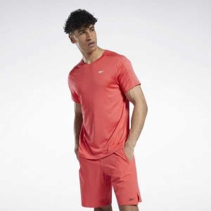 Pink Reebok Workout Ready Tech T-Shirt | KLE-401256