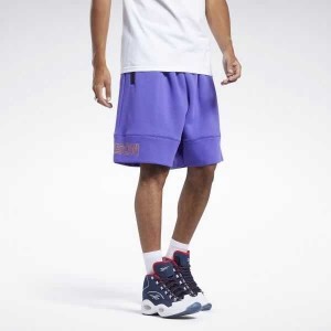 Purple Reebok Allen Iverson I3 Fleece Shorts | WAG-278541