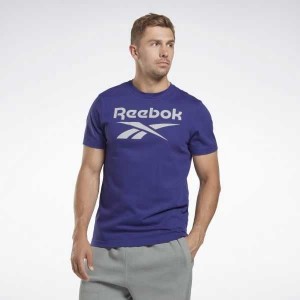 Purple Reebok Identity Big Logo T-Shirt | LYH-493058