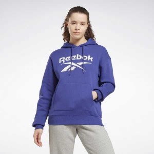 Purple Reebok Identity Logo Fleece Pullover Hoodie | UXA-302784