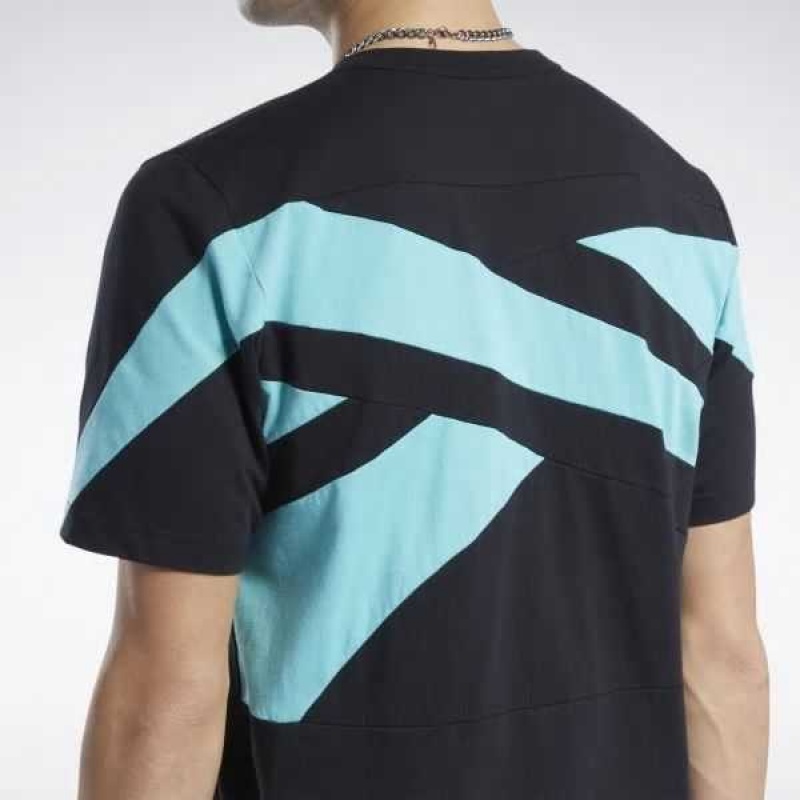 Black Reebok Classics Brand Proud T-Shirt | VWC-804179