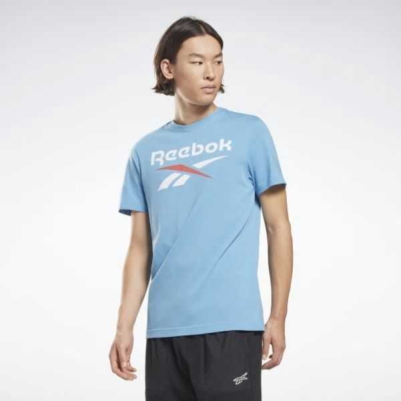 Blue Reebok Identity Big Logo T-Shirt | DOX-816950
