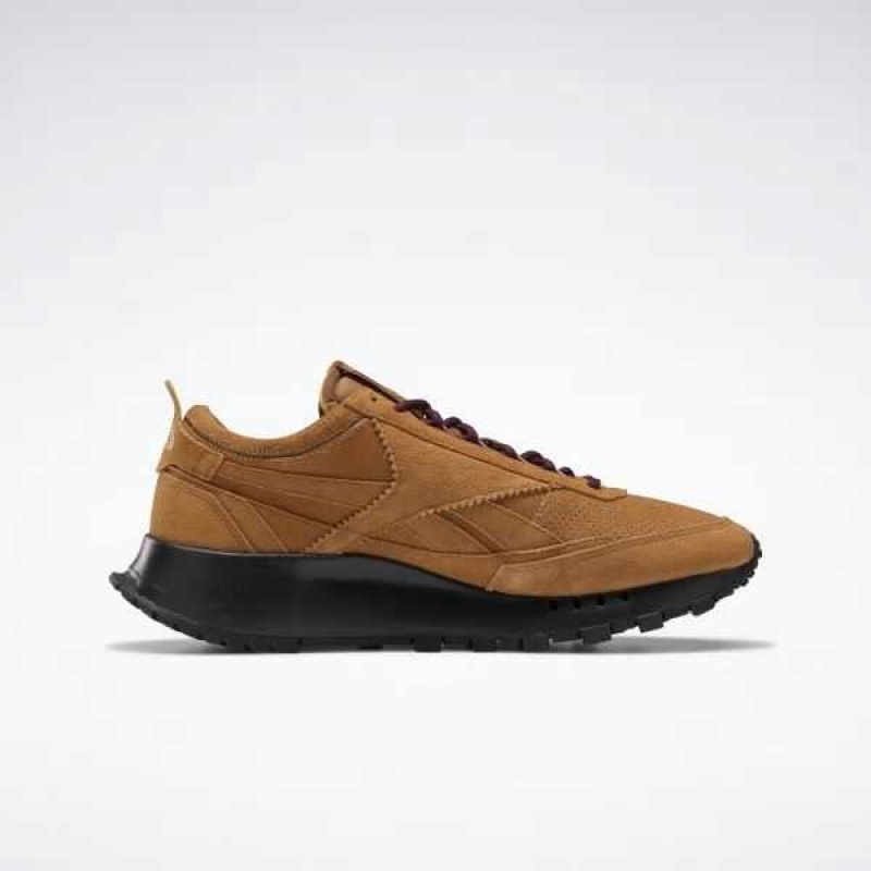 Brown / Burgundy / Gold Reebok SNS Classic Leather Legacy Shoes | FXE-058932