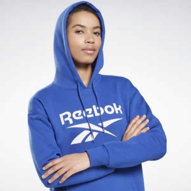 Deep Blue Reebok Identity Logo Fleece Pullover Hoodie | ACV-951286