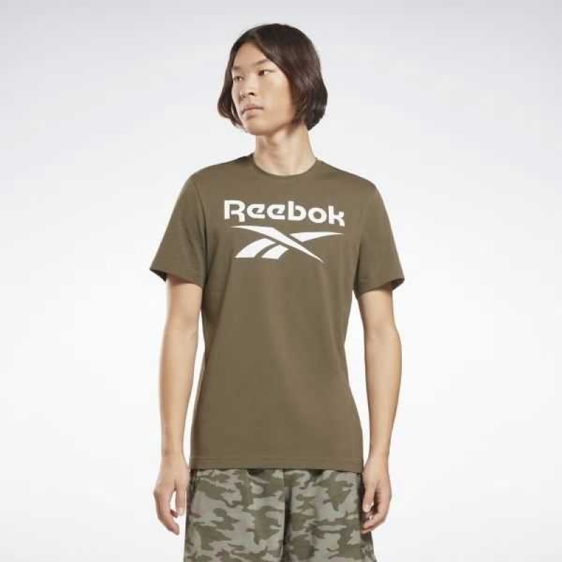 Green Reebok Identity Big Logo T-Shirt | FKZ-437051