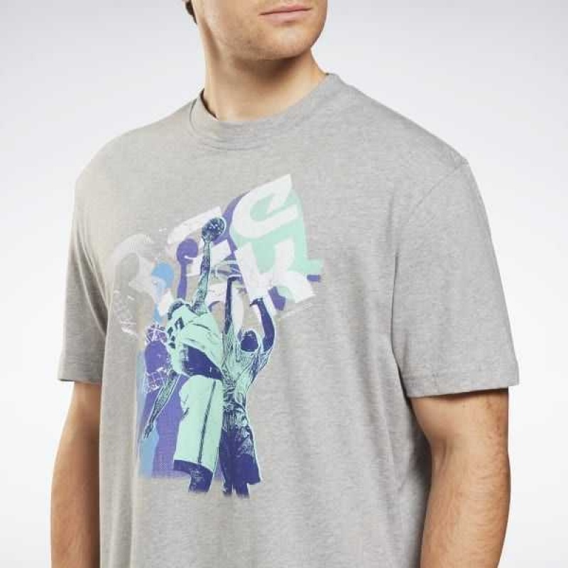Grey Reebok Graphic Series T-Shirt | VJL-546308