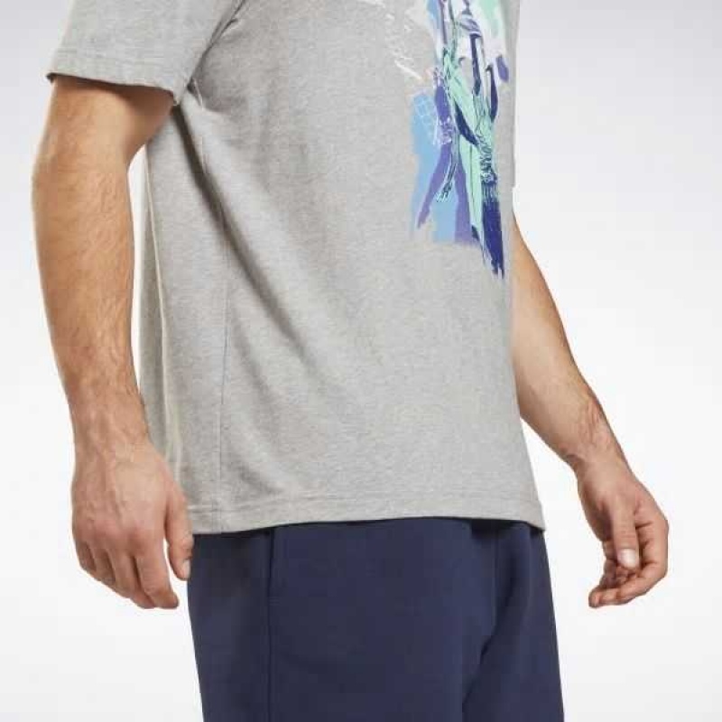 Grey Reebok Graphic Series T-Shirt | VJL-546308