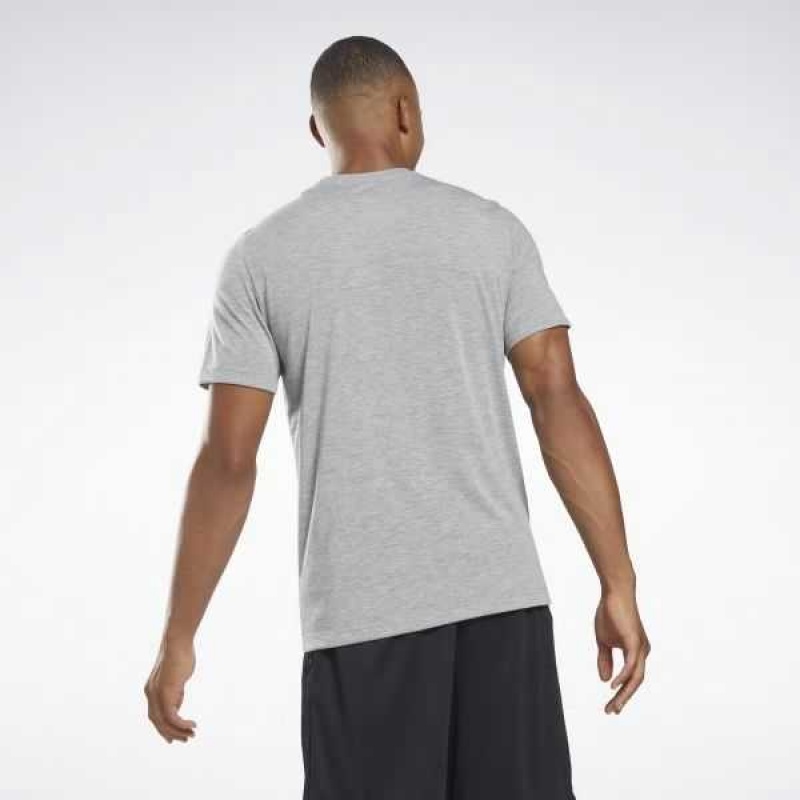 Grey Reebok Graphic Series T-Shirt | VTQ-586240