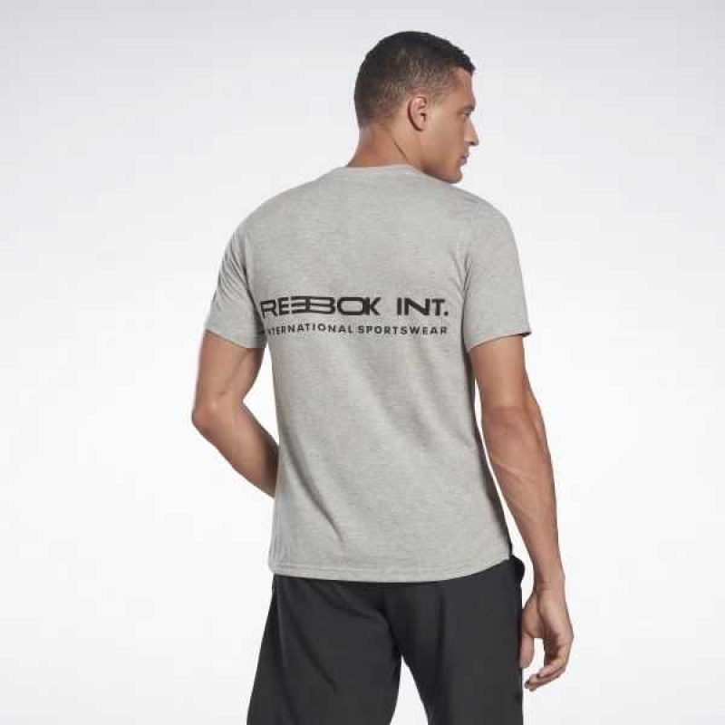 Grey Reebok Graphic Speedwick Move T-Shirt | BUS-351492