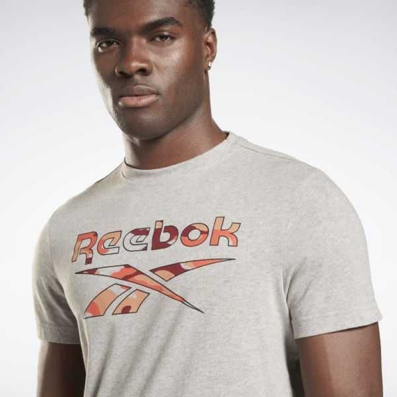 Grey Reebok Identity Big Logo T-Shirt | BOU-702369