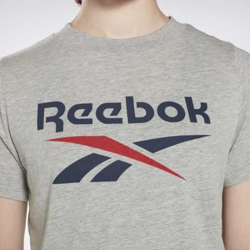 Grey Reebok Identity Logo T-Shirt | HCW-096358