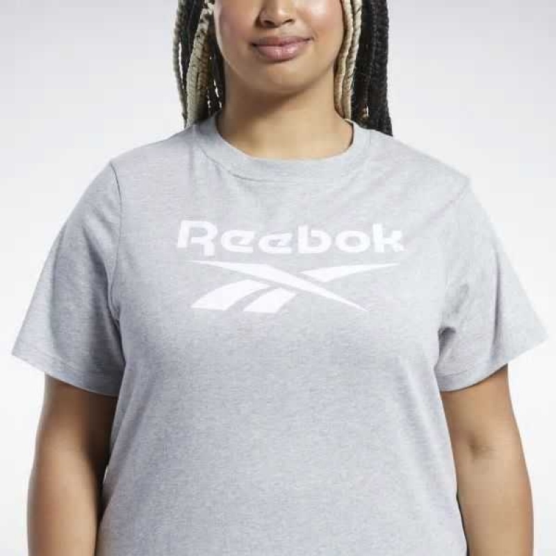 Grey Reebok Identity T-Shirt | TGY-316945