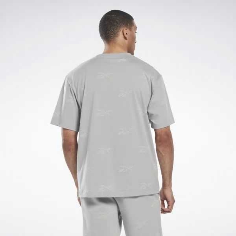 Grey Reebok Identity Vector T-Shirt | OJD-158473