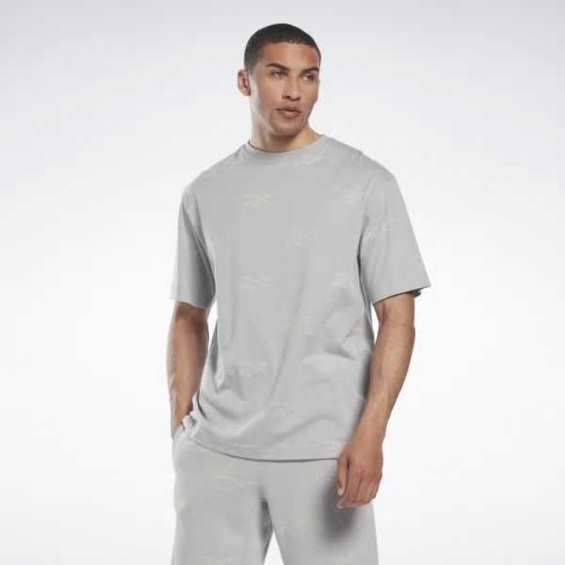 Grey Reebok Identity Vector T-Shirt | OJD-158473