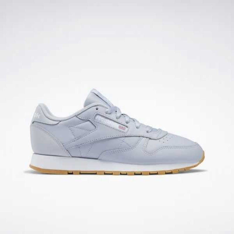Grey / Grey / White Reebok Classic Leather Shoes | QPO-417028