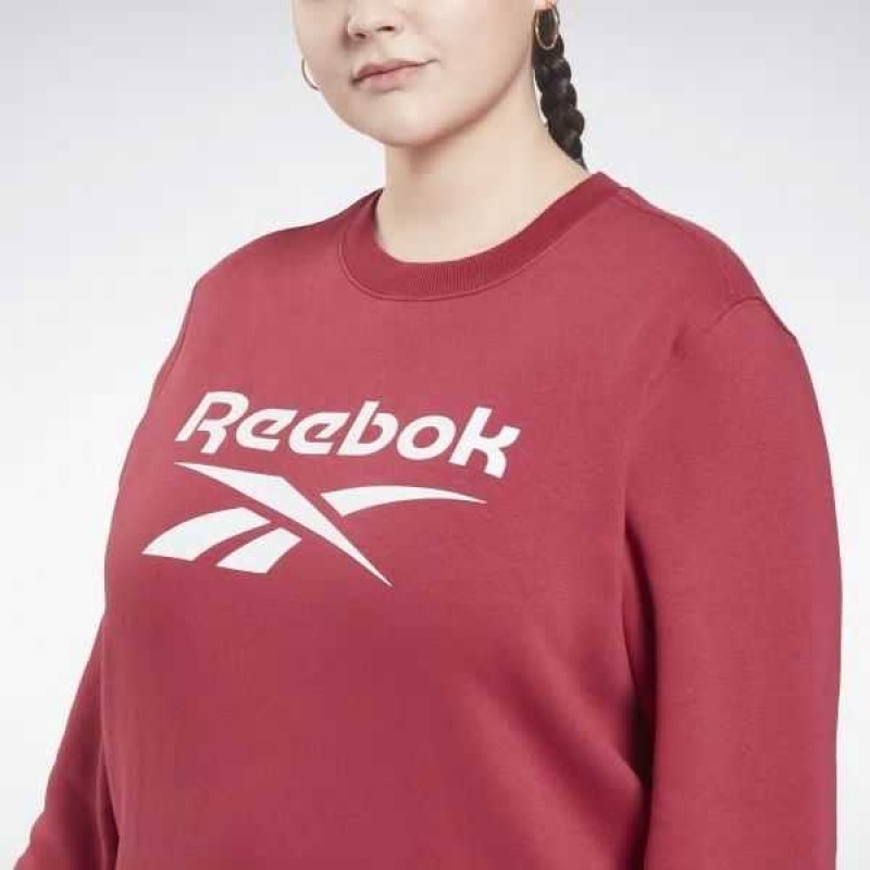 Multicolor Reebok Identity Logo Fleece Crew Sweatshirt | SAY-896147