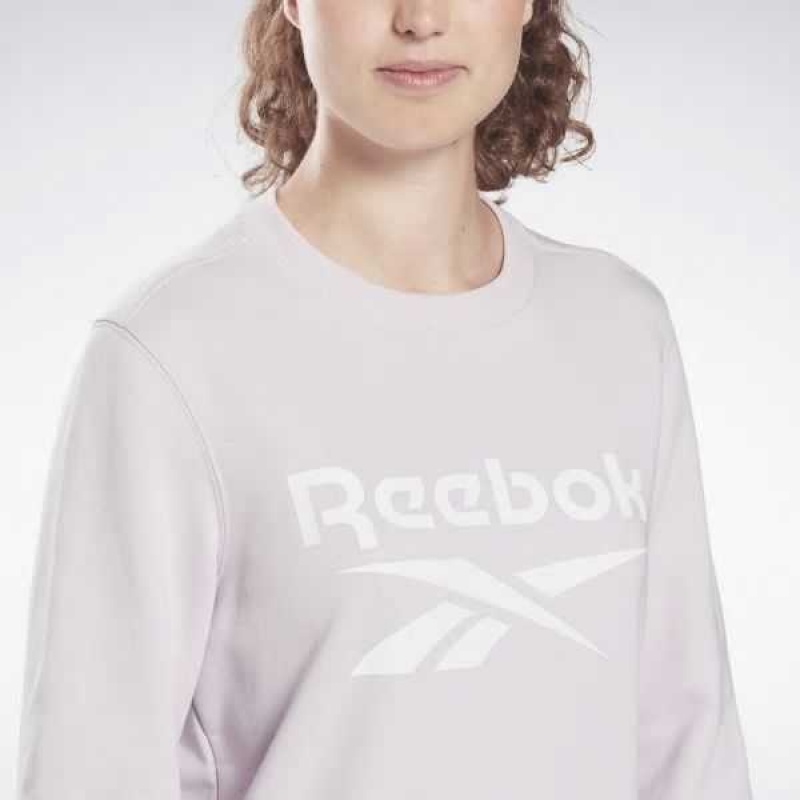 Multicolor Reebok Identity Logo French Terry Crew Sweatshirt | NFE-521038