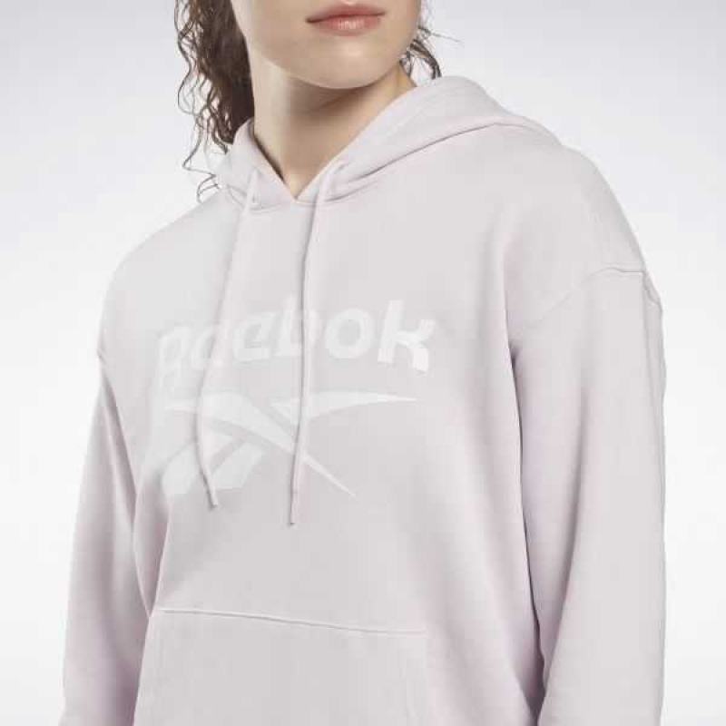 Multicolor Reebok Identity Logo French Terry Hoodie | QUY-210453