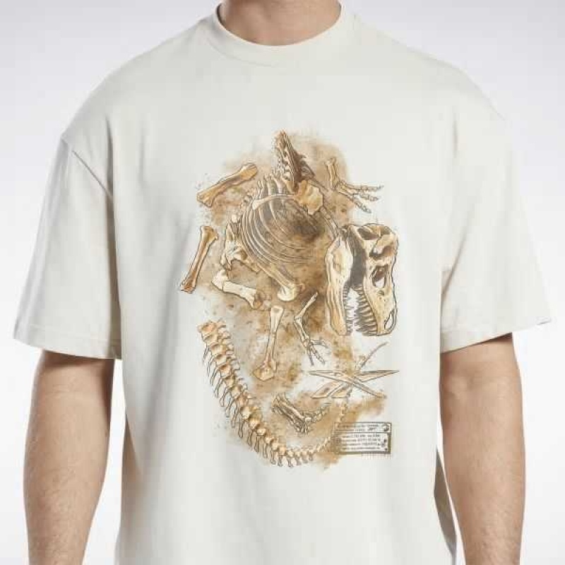 Multicolor Reebok Jurassic World Fossil T-Shirt | BKE-762539