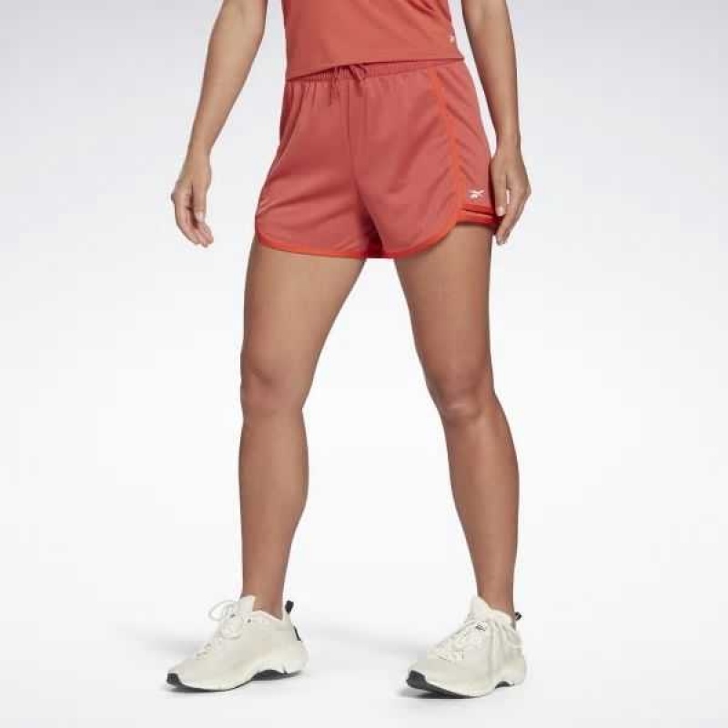 Multicolor Reebok Workout Ready High-Rise Shorts | FLY-218509