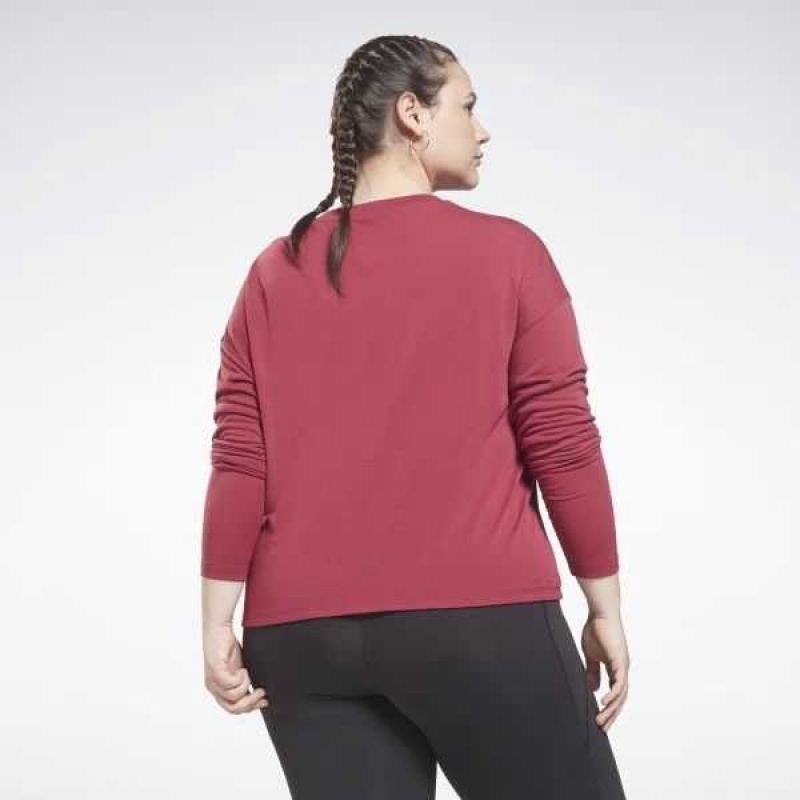 Multicolor Reebok Workout Ready Supremium Long Sleeve T-Shirt | CAN-809536