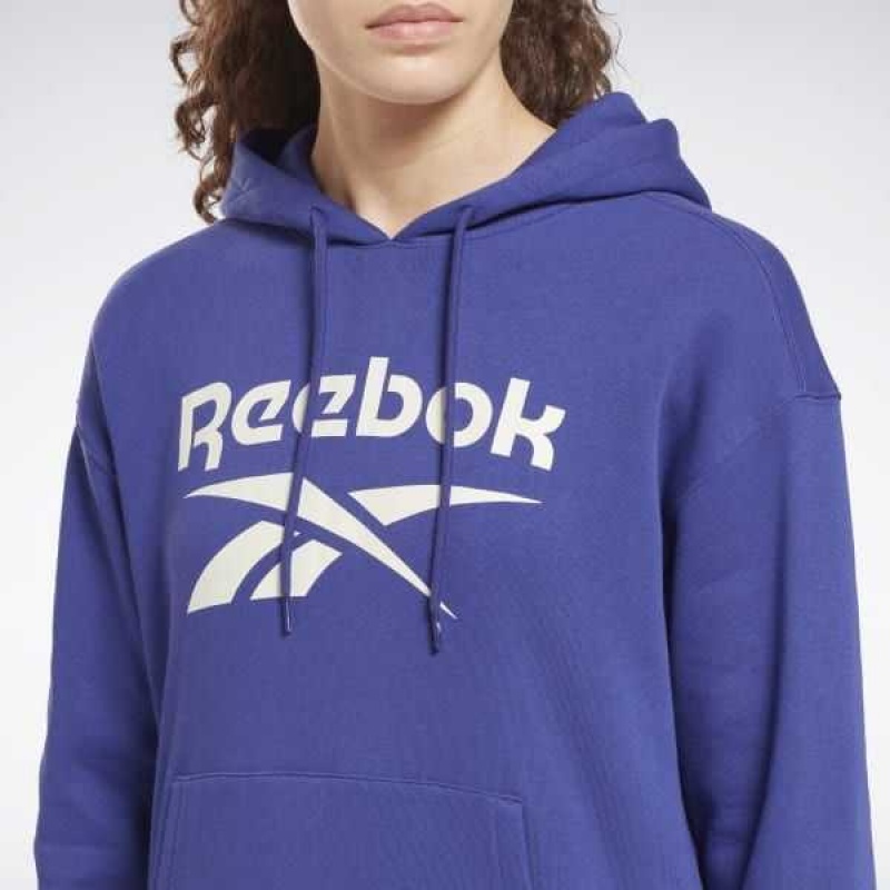 Purple Reebok Identity Logo Fleece Pullover Hoodie | UXA-302784