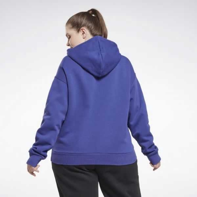 Purple Reebok Identity Logo Fleece Pullover Hoodie | CRH-038641