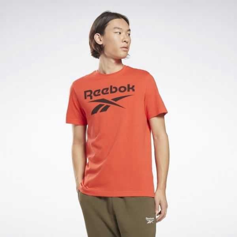 Red Reebok Identity Big Logo T-Shirt | JNU-965731