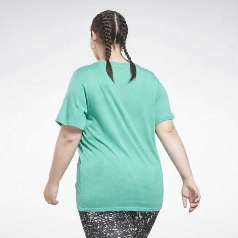 Turquoise Reebok Burnout T-Shirt | SQI-015623