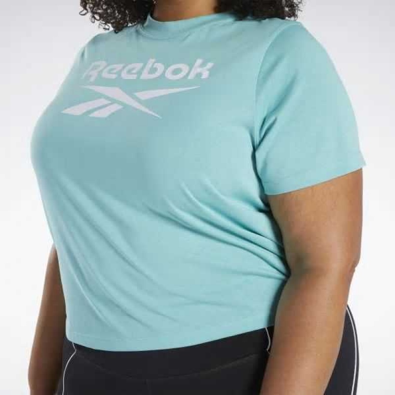 Turquoise Reebok Identity T-Shirt | NGT-370956