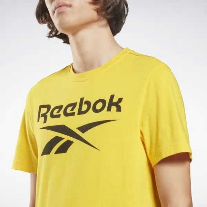 Yellow Reebok Identity Big Logo T-Shirt | IDC-852091